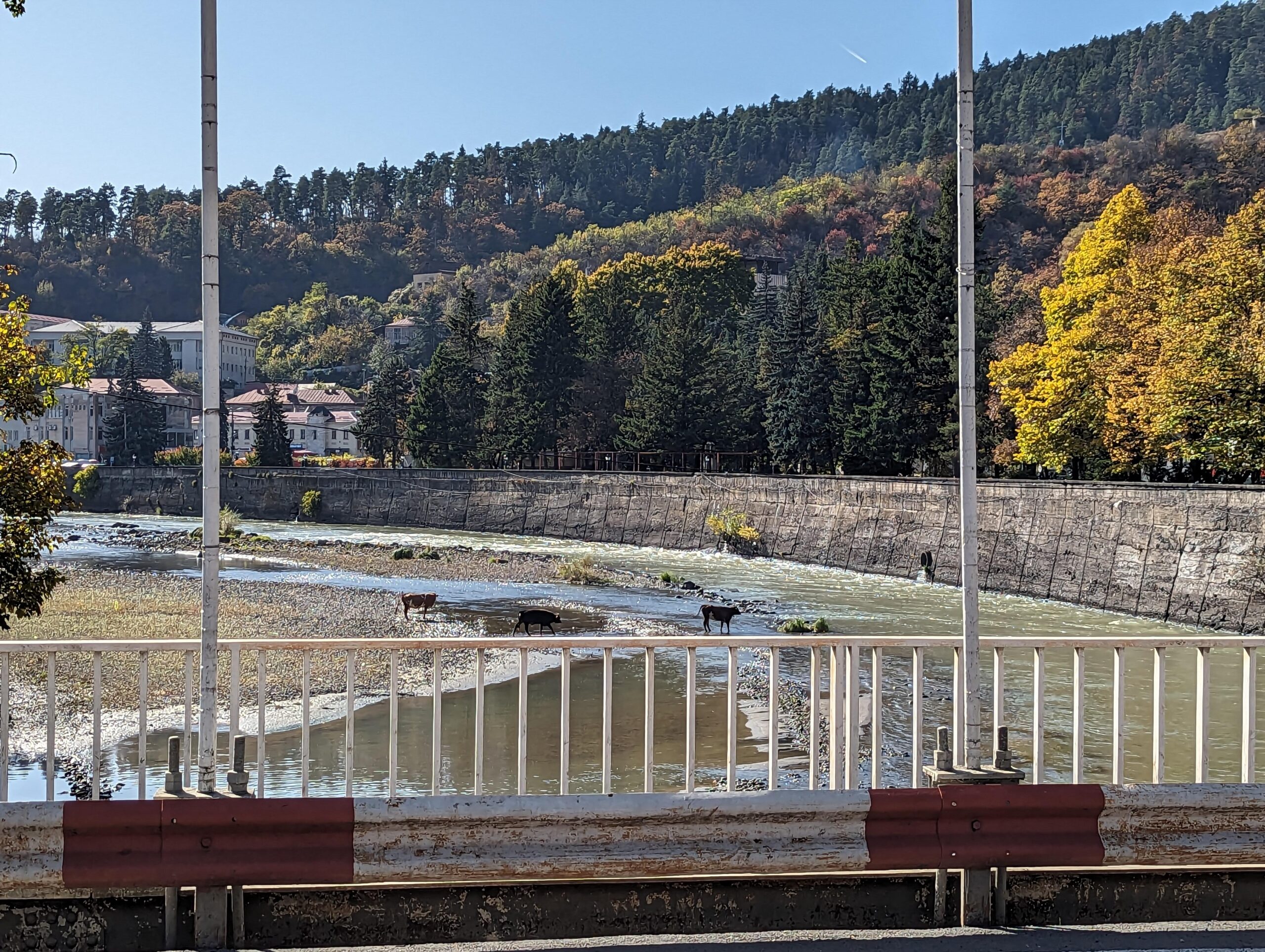 Borjomi Park or Sulfur Pools? Plan the Visit Before Booking Your Ride